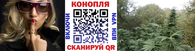 Магазины продажи наркотиков Белореченск Каннабис  ТГК  Гашиш  COCAIN 