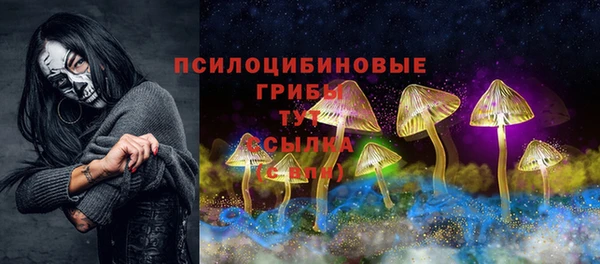 сатива Алагир