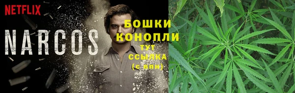дурь Аркадак