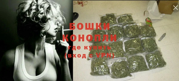 сатива Алагир